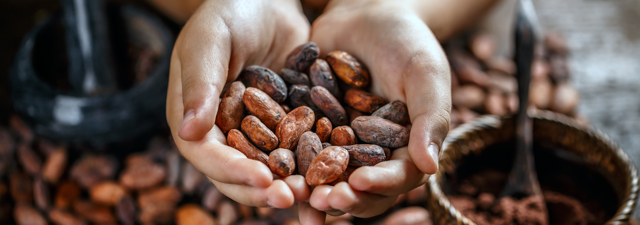 cacao4