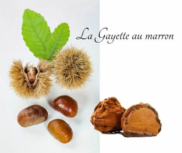 gayettes marron